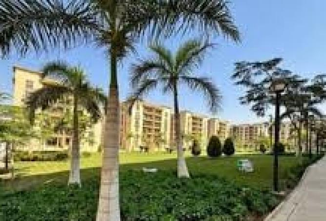 8224105 - صورة العقار 3