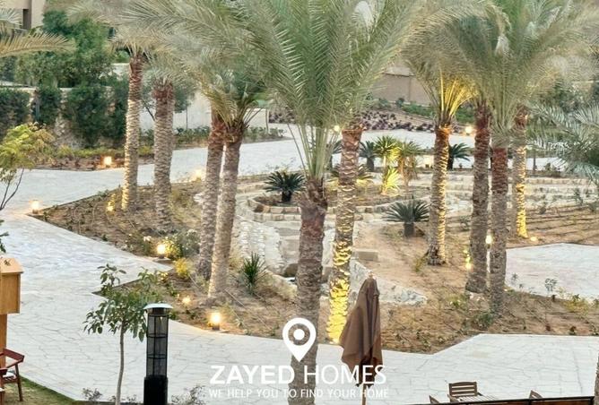 8183156 - صورة العقار 2