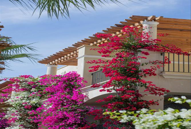 7978656 - Property Image 3