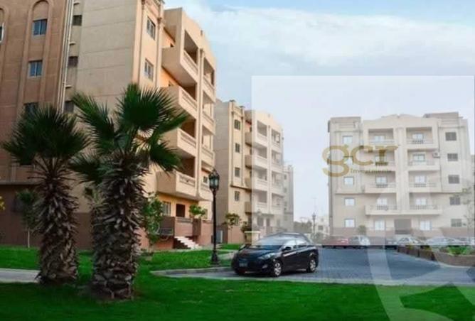 8008362 - صورة العقار 3