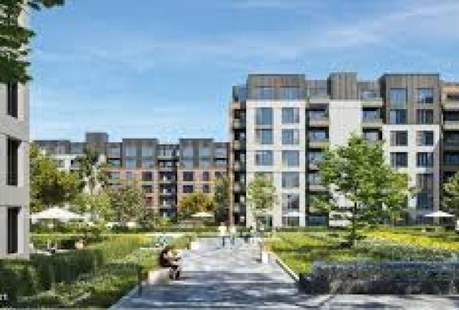 8087818 - Property Image 3