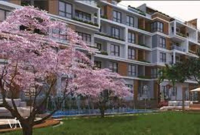 8377667 - Property Image 2