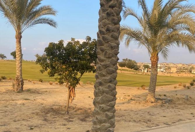 8412324 - Property Image 3