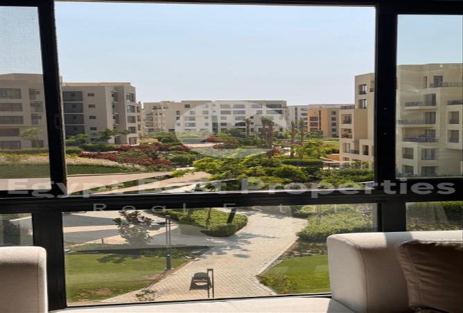 7893891 - صورة العقار 2