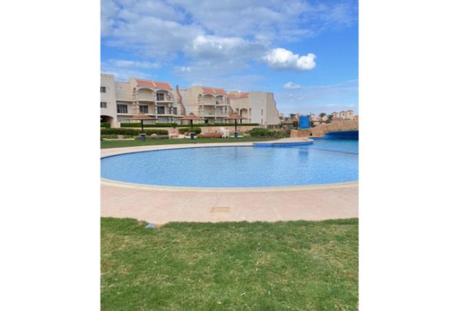 8291563 - Property Image 3