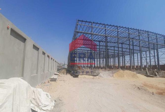 7993518 - صورة العقار 3
