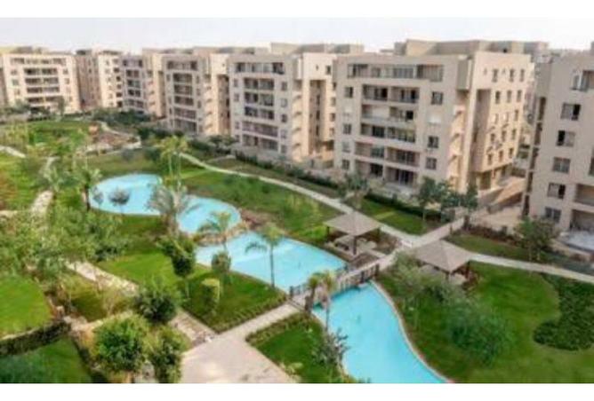 8362576 - Property Image 2