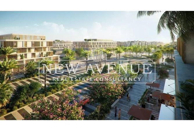 8150382 - Property Image 3