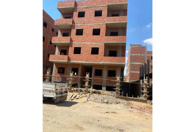 8150937 - Property Image 3