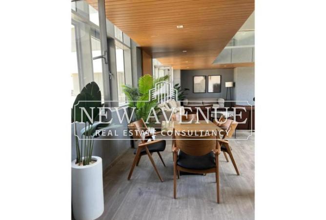 8077118 - Property Image 3