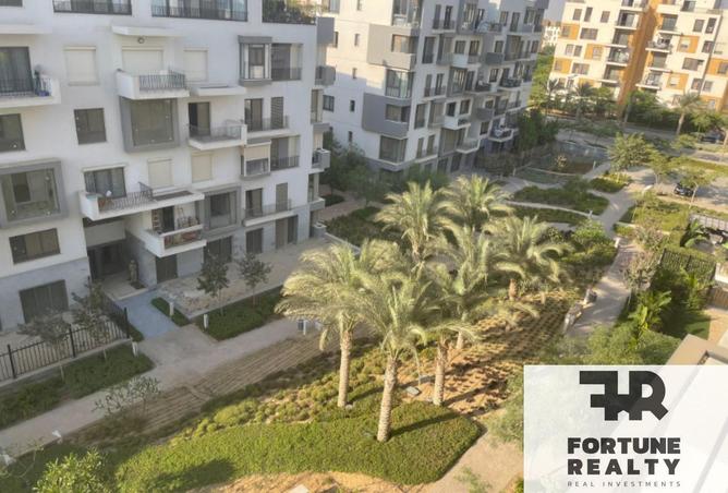 8341248 - Property Image 3