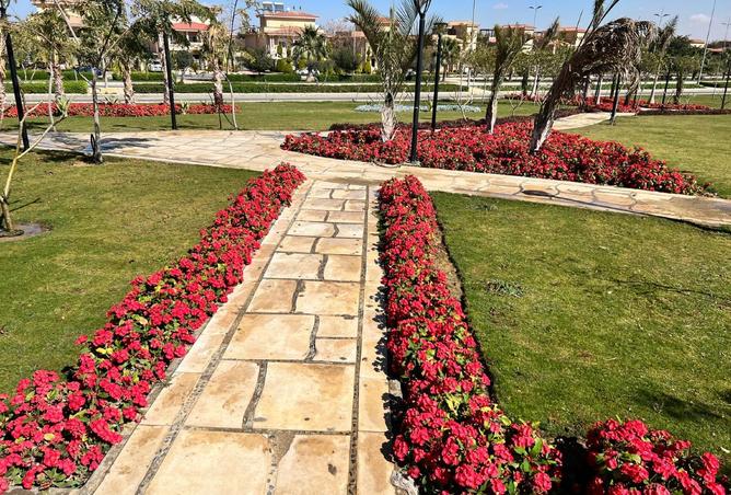 8153349 - صورة العقار 3