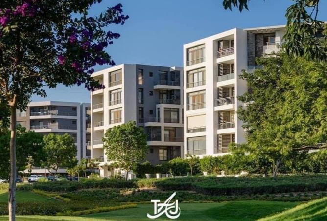 8099751 - Property Image 3