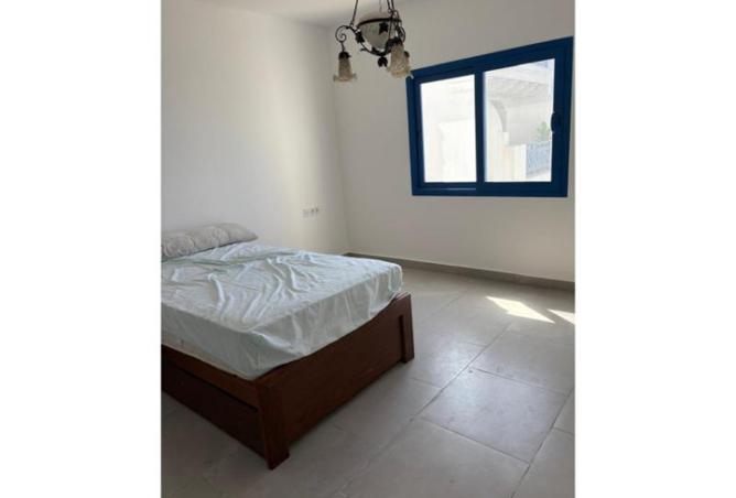 8338331 - Property Image 3