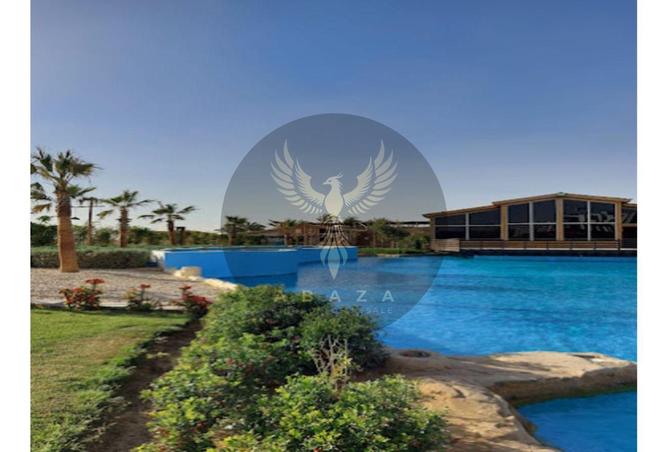 7953002 - الصورة الرئيسية للعقار