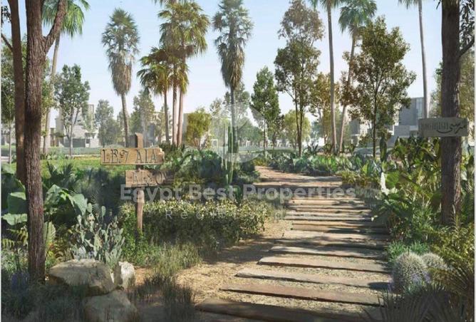 8566779 - Property Image 3