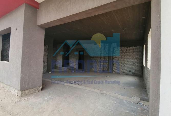 7702979 - Property Image 3