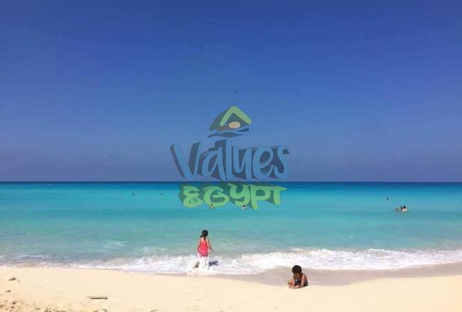 8070779 - صورة العقار 3
