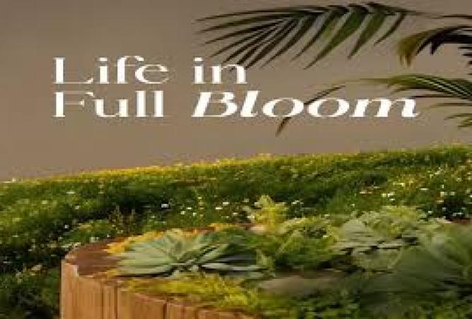 8247209 - صورة العقار 2