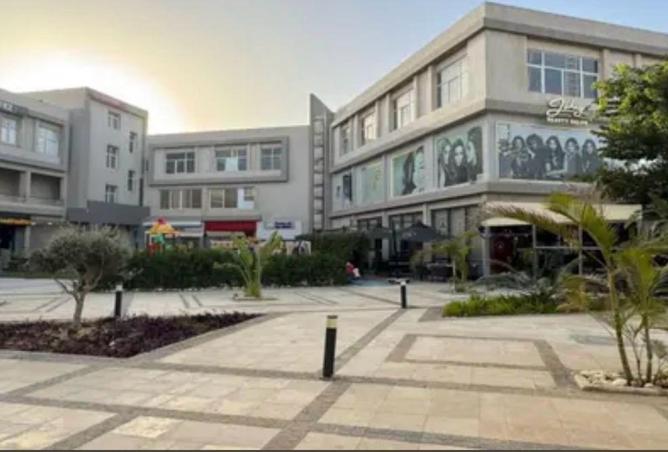 8384662 - Property Image 3