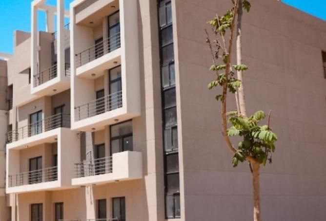 8390196 - Property Image 3