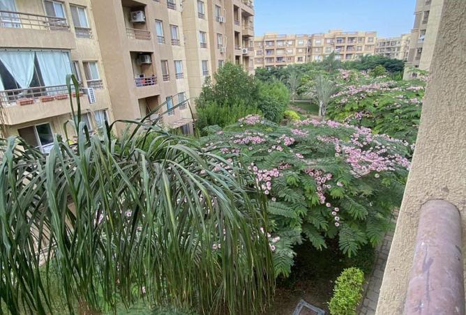 8162601 - صورة العقار 2