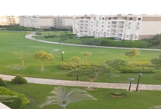 7980706 - الصورة الرئيسية للعقار