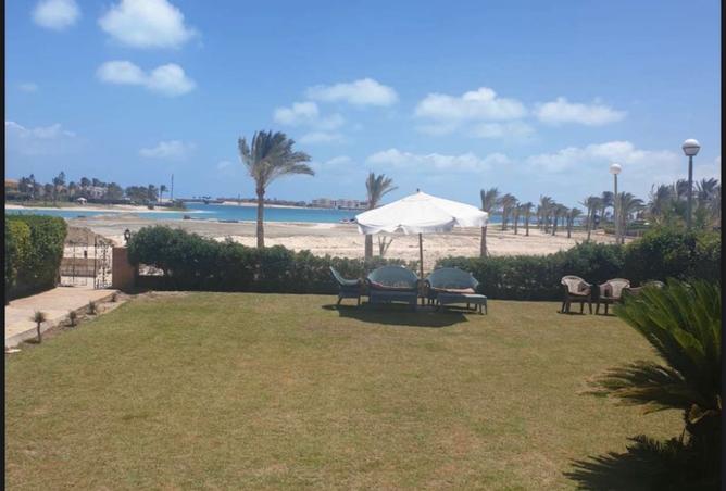 7920292 - صورة العقار 2