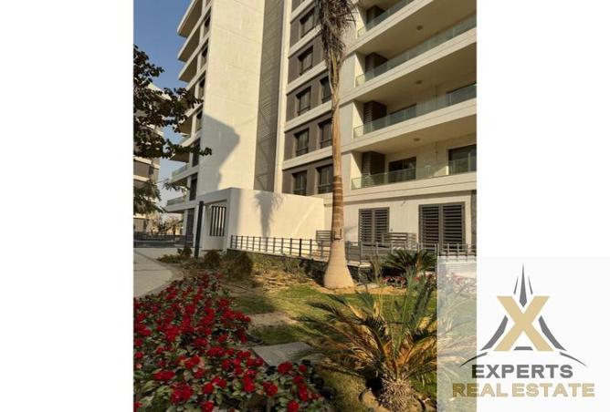 7984666 - Property Image 2