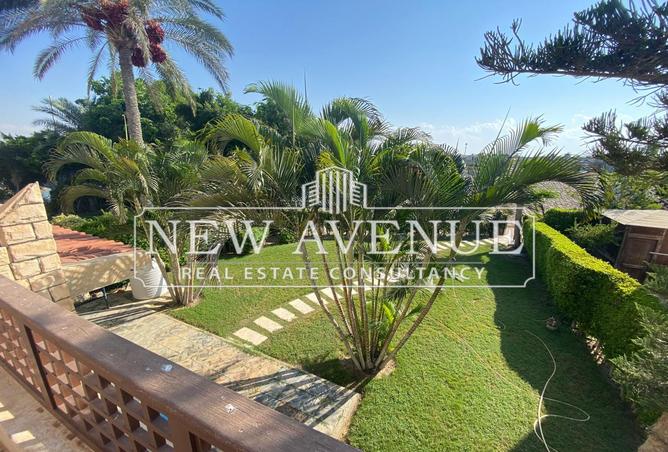 8177366 - صورة العقار 2