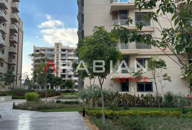 8293998 - صورة العقار 2