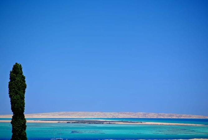 8317369 - صورة العقار 3