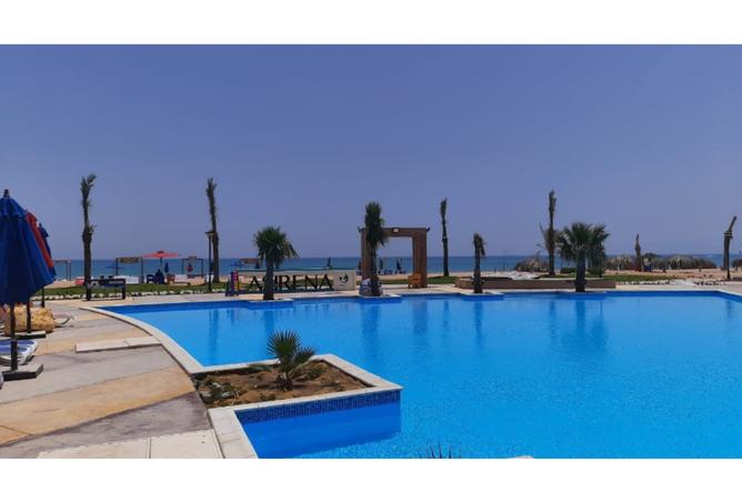 8179678 - Property Image 3