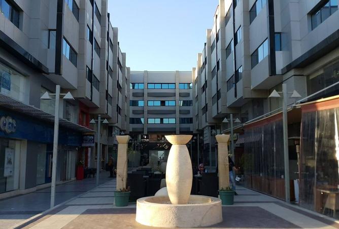 7956104 - Property Image 2