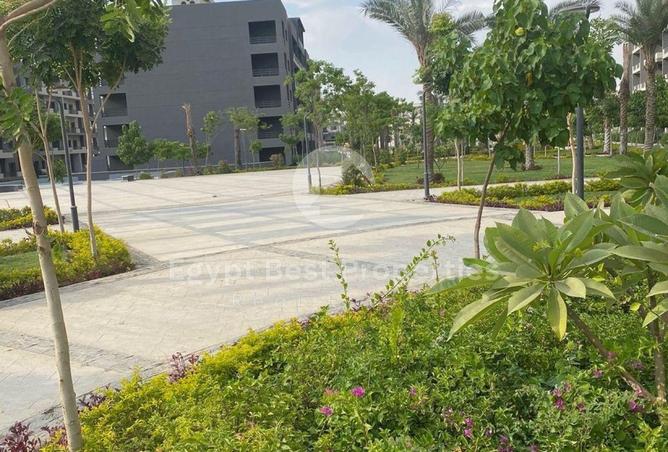 7906447 - Property Main Image