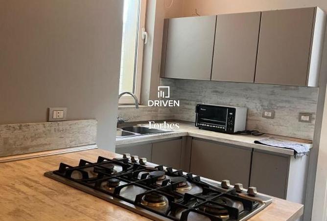 8112340 - Property Image 3