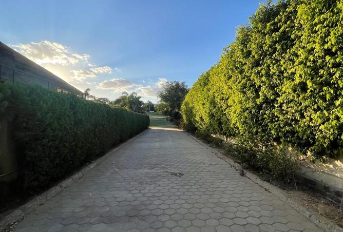 8370400 - صورة العقار 3