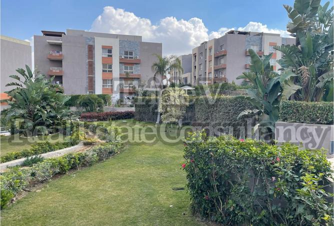 8066168 - Property Image 2