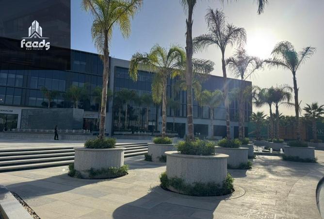 8186495 - صورة العقار 2