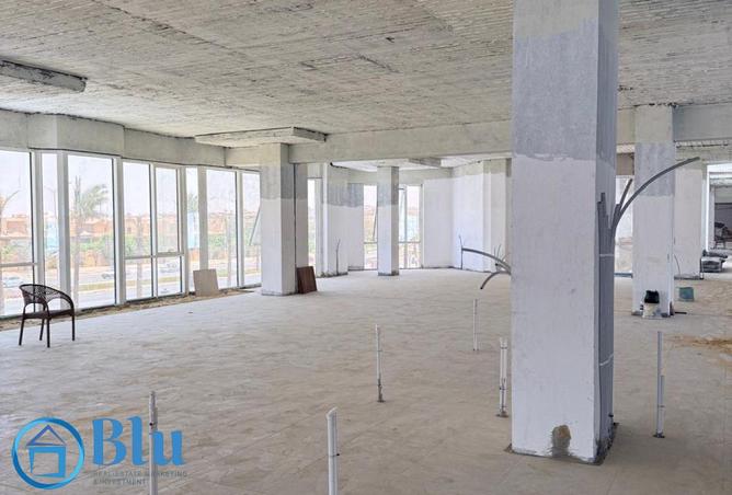 7922118 - Property Image 3