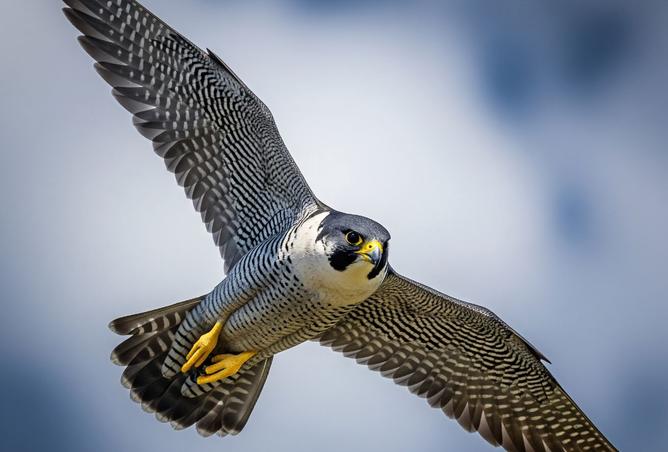 8144295 - صورة العقار 3