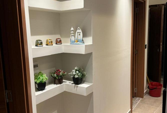 7916154 - صورة العقار 3