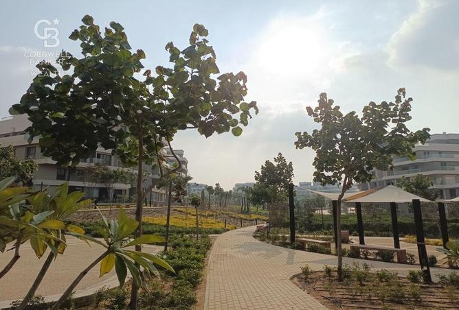 8404557 - Property Image 3