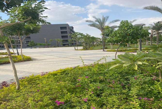 8437459 - صورة العقار 3