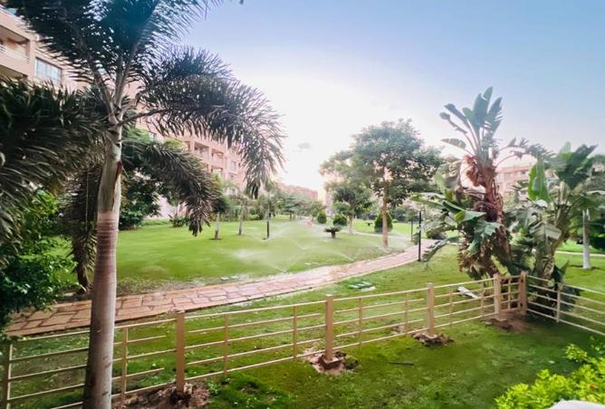 8186138 - صورة العقار 3