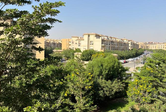 8322322 - صورة العقار 3