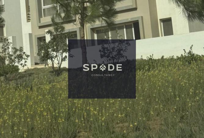 8535801 - صورة العقار 3