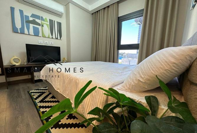 8479335 - Property Image 3