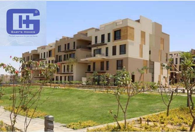 8476509 - Property Image 3