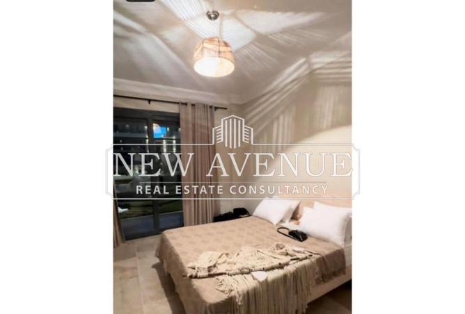 8089784 - Property Image 2
